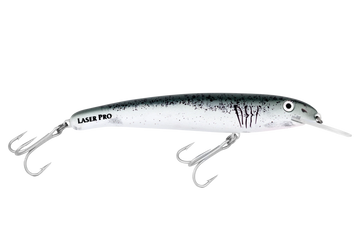 Great White