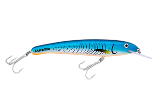 Blue Fluoro