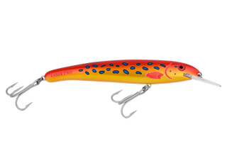 Coral Trout