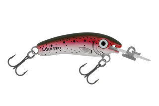 Rainbow Trout