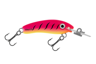 Pink Fluoro