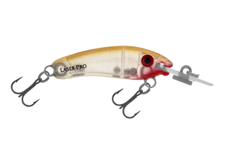 Jelly Prawn