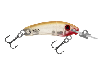 Jelly Prawn