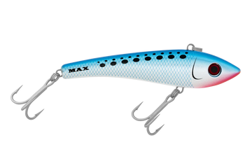 Pilchard