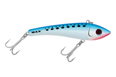 Pilchard