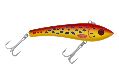 Coral Trout