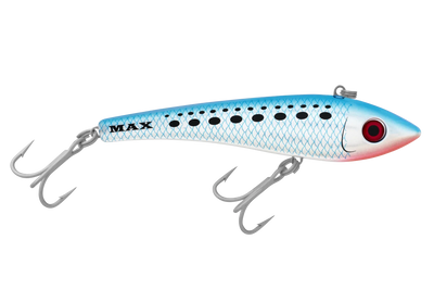 Pilchard