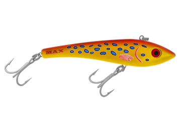 Coral Trout