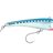 Pilchard