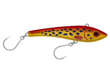 Coral Trout