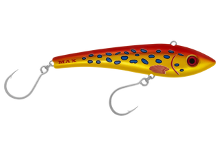 Coral Trout