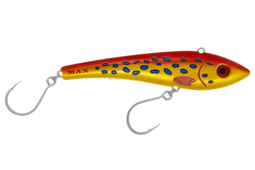 Coral Trout