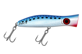 Pilchard