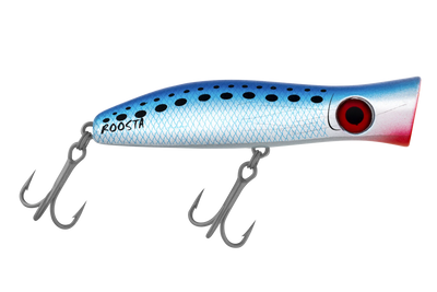 Pilchard