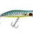 Bonito