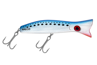 Pilchard
