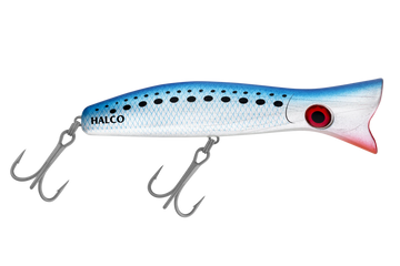 Pilchard