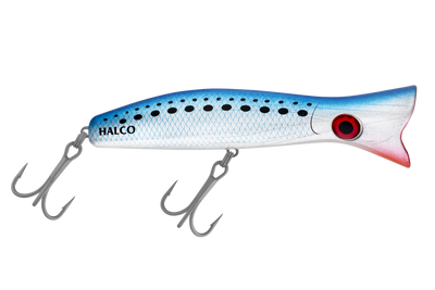 Pilchard