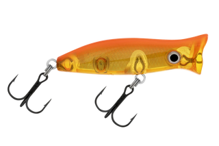 Koi
