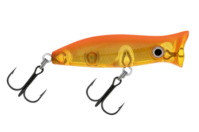 Koi