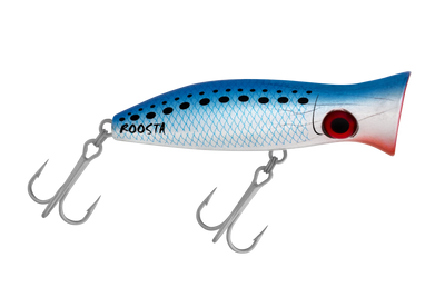 Pilchard