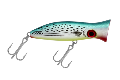Bonito