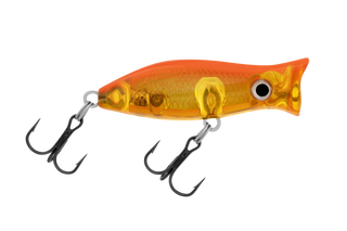 Koi