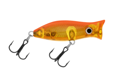 Koi