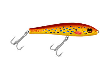 Coral Trout