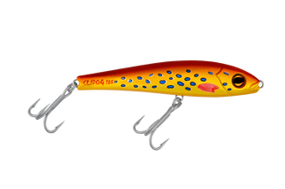Coral Trout