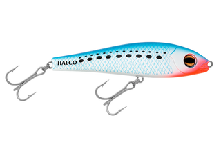 Pilchard