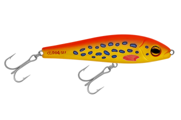 Coral Trout