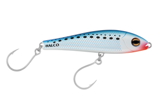 Pilchard