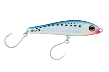Pilchard