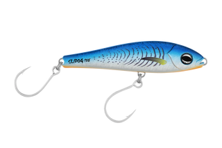 Blue Fluoro