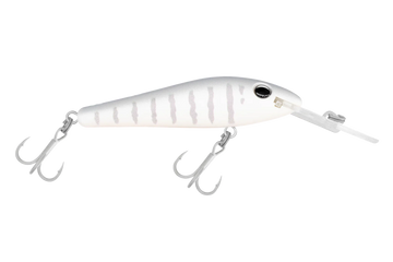 Silver Shadow