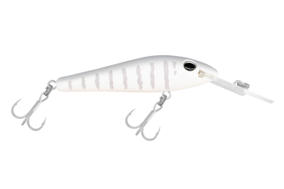 Silver Shadow