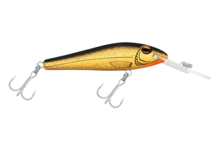 Gold Herring
