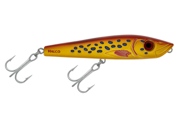 Coral Trout