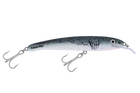 Great White
