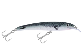 Great White