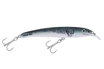Great White