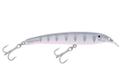 Silver Shadow