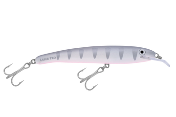 Silver Shadow