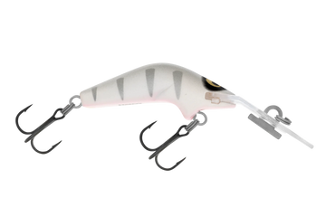 Silver Shadow