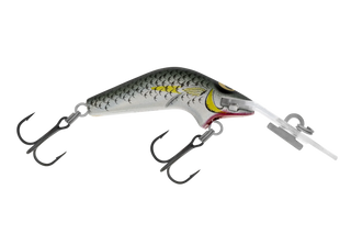 Mullet