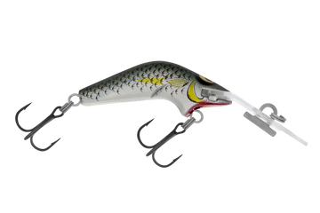 Mullet