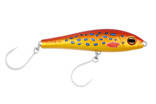 Coral Trout