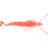 Jelly Prawn