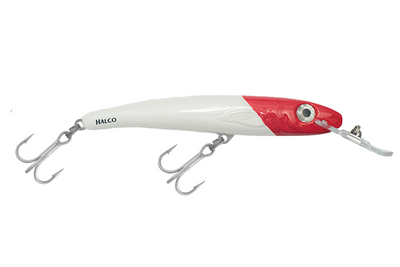 White Redhead